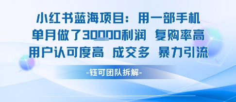 图片[1]-小红书蓝海项目，一部手机单月做了3W利润，小白也能月入过1W用户认可度高成交多