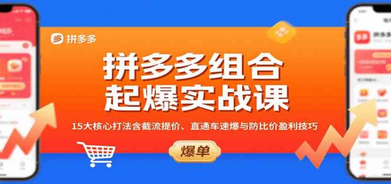 图片[1]-拼多多组合起爆实战课：15大核心打法含截流提价、直通车速爆与防比价盈利技巧