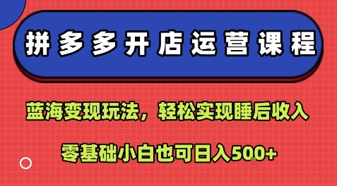 图片[1]-拼多多开店运营课程：蓝海变现玩法，轻松实现睡后收入，零基础小白也可日入5张