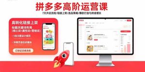 拼多多高阶运营课:7天开店流程/链接上架/选品策略/爆款打造与持续增长-比杰副业资源站